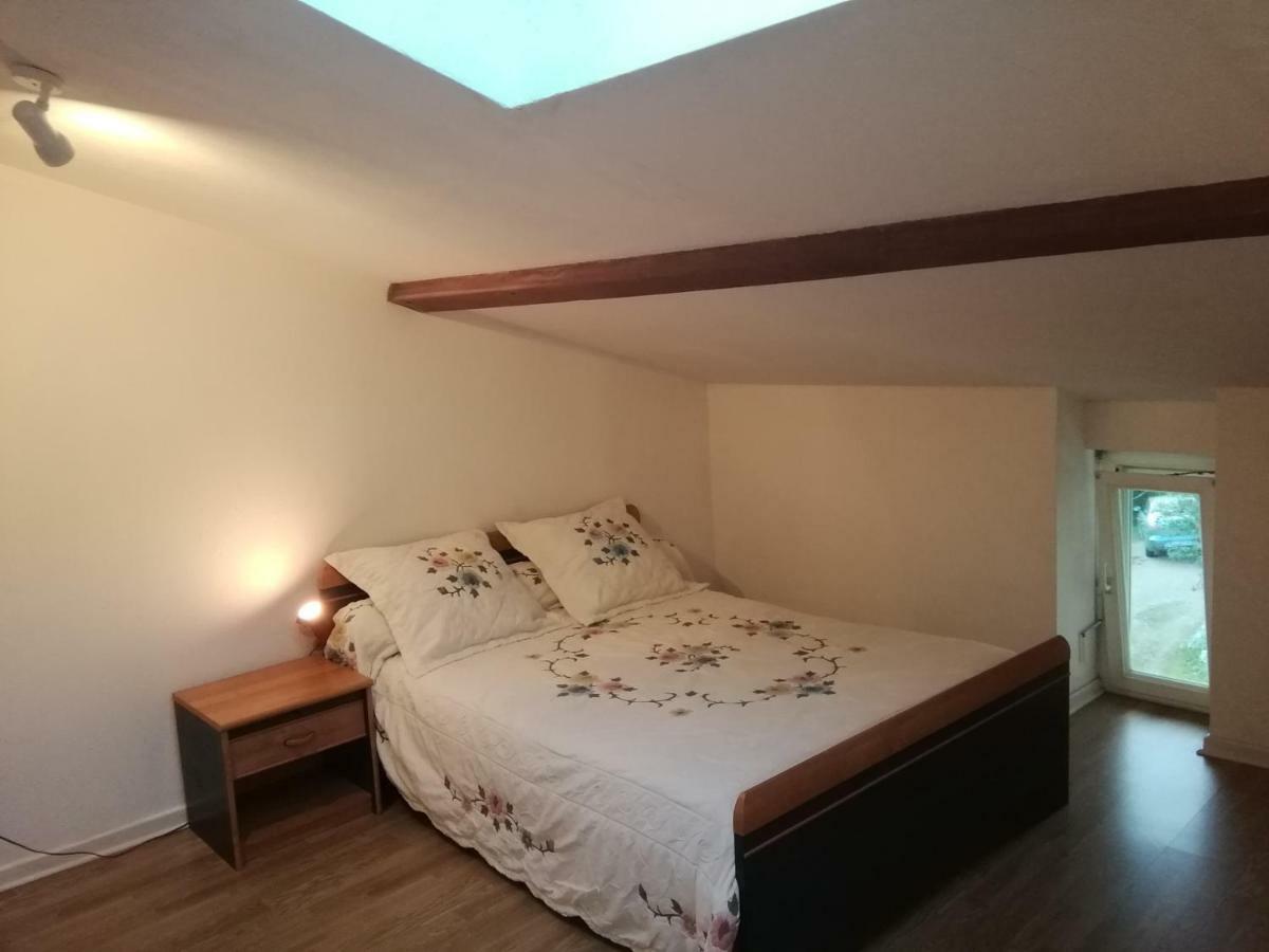 Apartament Studio Mansarde A Oyonnax Zewnętrze zdjęcie